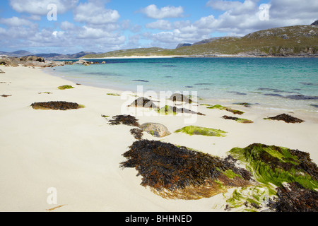 Voir l'ensemble du continent à l'escarpe de Kyle Harris, Scotland Banque D'Images