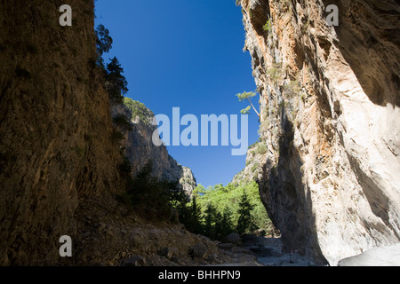 L'ampleur même des murs de pierre de la Gorge de Samaria, Parc National de Samaria, Crète, Grèce. Banque D'Images