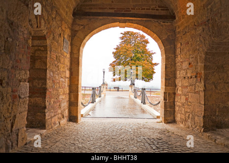 Gate à Belgrade Kalemegdan Fortress, automne, automne Banque D'Images