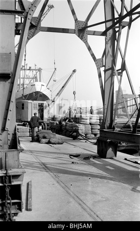 Les dockers et Cargo, Royal Victoria Dock, London, c1945-c1965. Artiste : SW Rawlings Banque D'Images