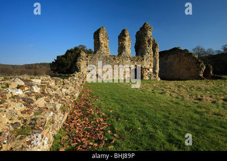 Les ruines de l'abbaye de Waverley. Banque D'Images