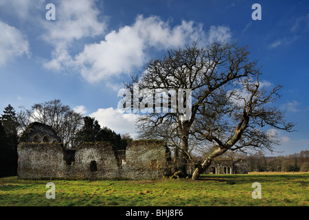 Les ruines de l'abbaye de Waverley. Banque D'Images