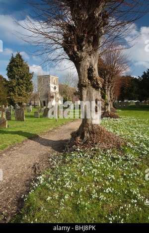 L'église St Mary et perce-neige à Kintbury, Berkshire, Royaume-Uni Banque D'Images