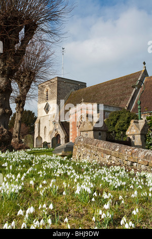 L'église St Mary et perce-neige à Kintbury, Berkshire, Royaume-Uni Banque D'Images