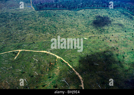 Vue aérienne de la forêt détruite au Brésil près de Amazon River Banque D'Images