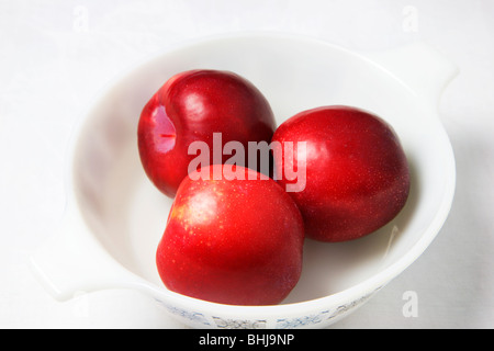 Trois prunes rouges dans un plat blanc sur un fond blanc Banque D'Images