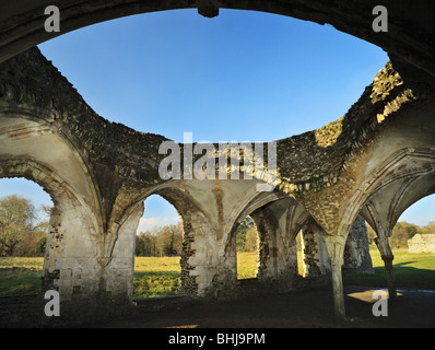 Les ruines de l'abbaye de Waverley. Banque D'Images