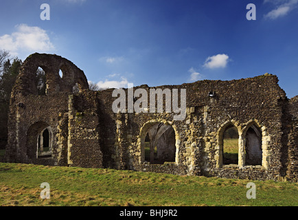 Les ruines de l'abbaye de Waverley. Banque D'Images