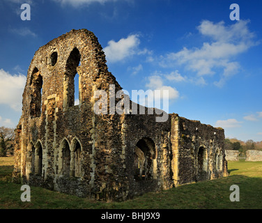 Les ruines de l'abbaye de Waverley. Banque D'Images