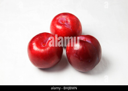 Trois prunes rouges sur un fond blanc Banque D'Images