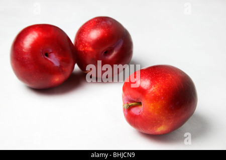 Trois prunes rouges sur un fond blanc Banque D'Images