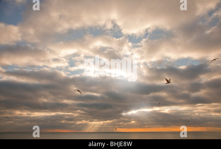 Stormy Sky sea scape avec rayons pénétrant par les nuages, mouettes, coucher du soleil Banque D'Images