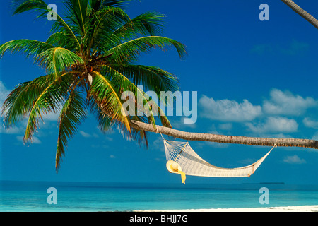 Hat reposant sur hamac blanc enfilés sous palm tree trunk sur Sandy Shores Banque D'Images