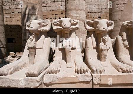 Sphinx tête Ram dans la grande cour, Karnak Temple Complex Banque D'Images