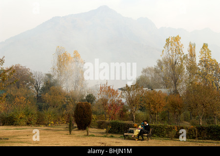 Jardins de Nishat, Dal Lake, à Srinagar, au Cachemire, en Inde Banque D'Images