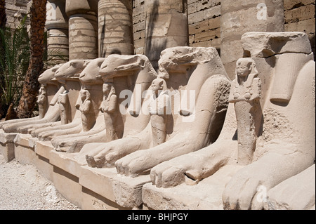 Sphinx tête Ram dans la grande cour, Karnak Temple Complex Banque D'Images