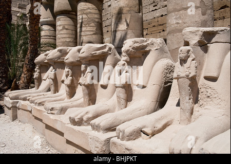 Sphinx tête Ram dans la grande cour, Karnak Temple Complex Banque D'Images