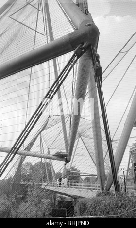 Le nord de l'Oisellerie, Zoological Gardens, Regent's Park, Westminster, London, c1965. Artiste : Eric de Maré Banque D'Images