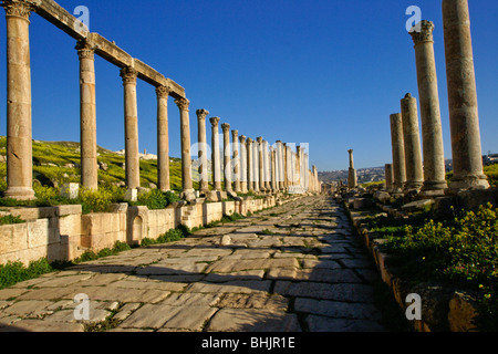 Ruines romaines de Jerash au printemps, en Jordanie Banque D'Images