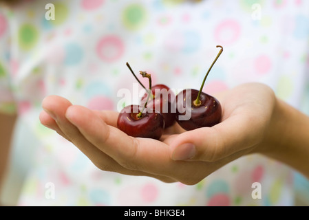 L'enfant cupped hand holding cerises Banque D'Images