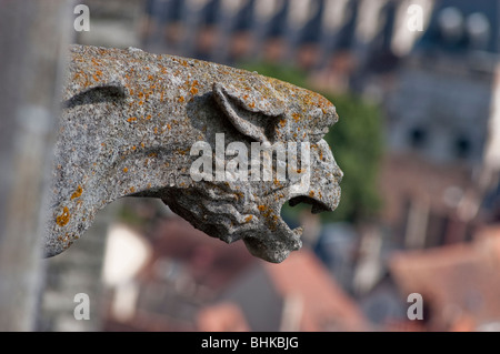 Chartres, France - La Cathédrale Notre Dame, Gargoyle Close up, détail architectural, à l'Extérieur, jour Banque D'Images