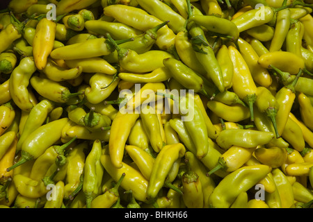 L'Inde Piments jaunes Banque D'Images