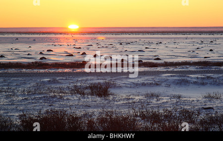 Coucher du soleil sur la toundra à Churchill, Manitoba, Canada, Amérique du Nord. Banque D'Images