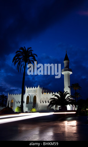 Marbella mosquée (Mosquée du Roi Abdul Aziz) - Andalousie, Espagne Banque D'Images