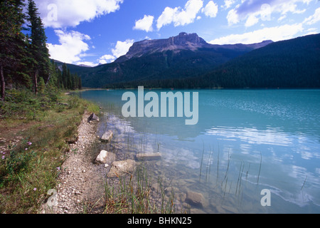 Vue Lac, Emerald Lake, British Columbia, Canada Banque D'Images