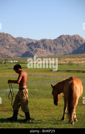 Les chevaux et l'homme dans la steppe mongole, Mongolie Banque D'Images