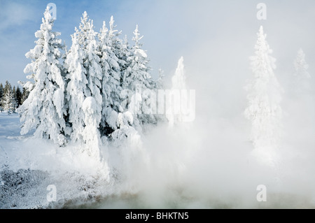 La vapeur de la gèle hydrothermaux sur ghost arbres dans le West Thumb Geyser Basin Yellowstone National Park Banque D'Images