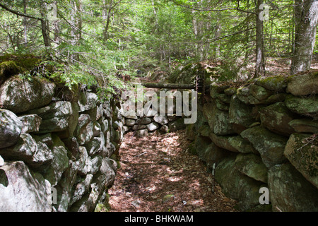 Thornton Gore qui était un vieux hill farm community abandonné au 19e siècle. Situé dans la région de Thornton, New Hampshire Banque D'Images