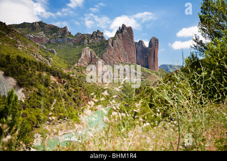 Des formations rocheuses avec plantes et forêt, Mallos de Riglos, Province de Huesca, Aragon, Espagne Banque D'Images