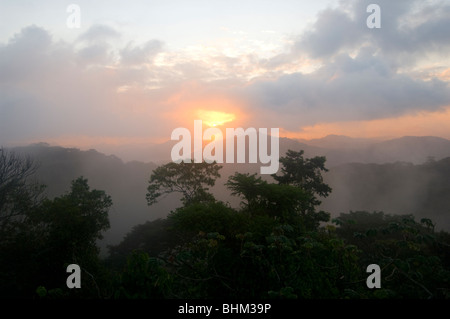 Panama Le Lever du Soleil sur le parc national de Soberania Banque D'Images