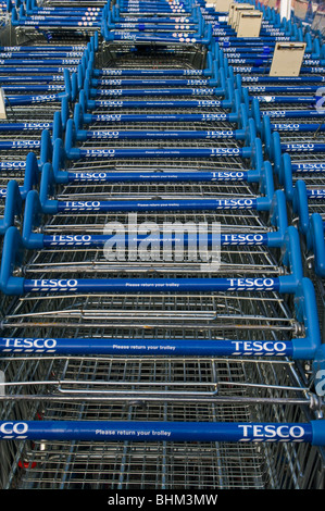 Tesco Chariots Banque D'Images