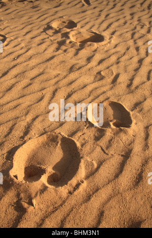 Empreintes de chameaux dans l'Erg Chebbi, les cotisations du sable du désert du Sahara, près de Merzouga, Maroc Banque D'Images