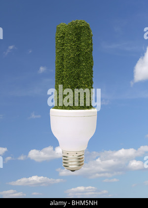 Vert respectueux de l'ampoule CFL plus de ciel bleu - pure energy concept Banque D'Images