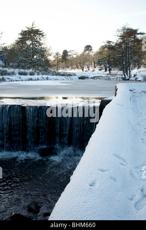 Scène d'hiver enneigé à Bradgate Park, Newtown Linford, Leicestershire Banque D'Images