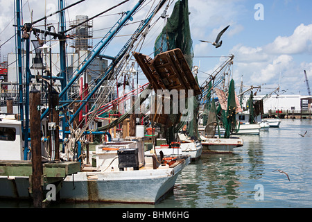 Les bateaux de pêche dans la région de Harbour Galveston Texas USA Banque D'Images