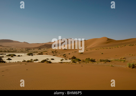 Dunes rouges dans le désert de Namib Banque D'Images