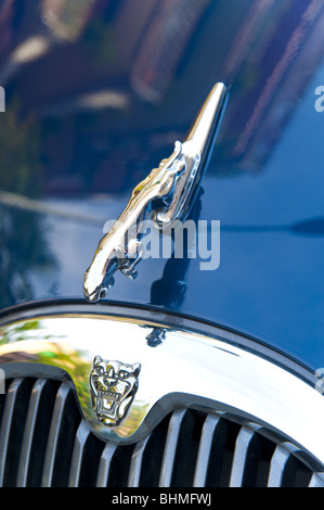 Symbole de Jaguar sur le capot de la voiture Banque D'Images