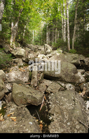 Pemigewasset Wilderness - rivière séchés lit dans les Montagnes Blanches du New Hampshire, USA Banque D'Images