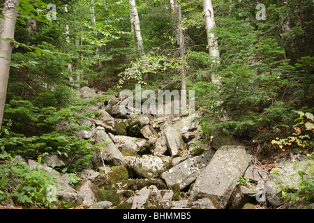 Pemigewasset Wilderness - rivière séchés lit dans les Montagnes Blanches du New Hampshire, USA Banque D'Images