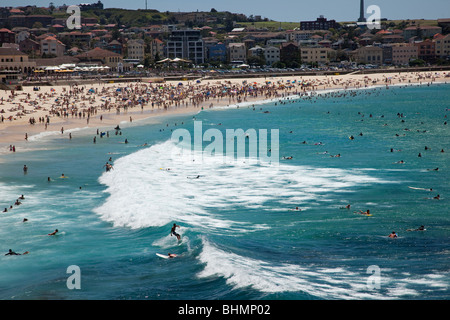 Le premier ministre de l'Australie,plage à Sydney, Bondi Beach, un jour d'été attire des milliers de touristes pour nager et vous détendre et surf Banque D'Images