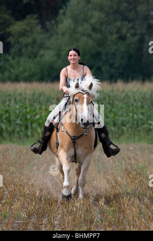 Girl riding a / Avelignese Haflinger Cheval (Equus caballus) dans la zone, Belgique Banque D'Images