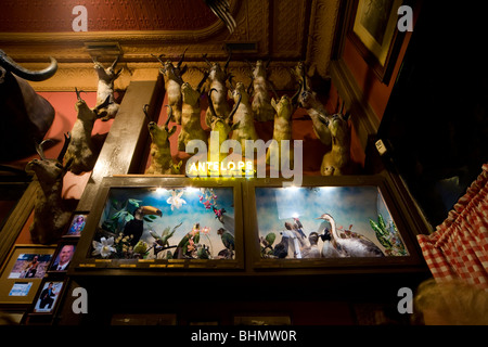 Trophées de chasse sur le mur de l'échange de Buckhorn, le plus ancien restaurant de Denver, une vieille-ouest steakhouse. Banque D'Images