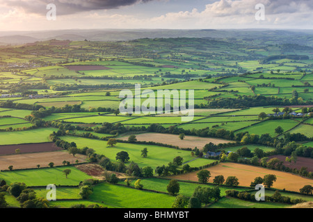 Les champs près de Llangorse, parc national de Brecon Beacons, Powys, Wales, UK. L'automne (octobre) 2009 Banque D'Images