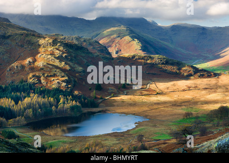 Blea Tarn et Wrynose est tombé dans le Parc National du Lake District, Cumbria, England, UK. L'automne (novembre) 2009 Banque D'Images