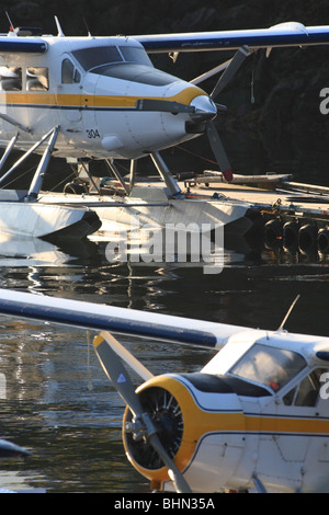 DeHavilland Otter (conversion turbine) et hydravions Beaver attaché au quai, Seal Cove, Prince Rupert (Colombie-Britannique) Banque D'Images