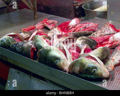 Chine poissonnier sur le marché à Macao Photo par Julio Etchart Banque D'Images